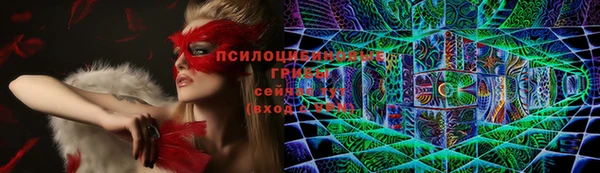 гидра Алзамай
