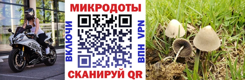 Галлюциногенные грибы Magic Shrooms Калязин