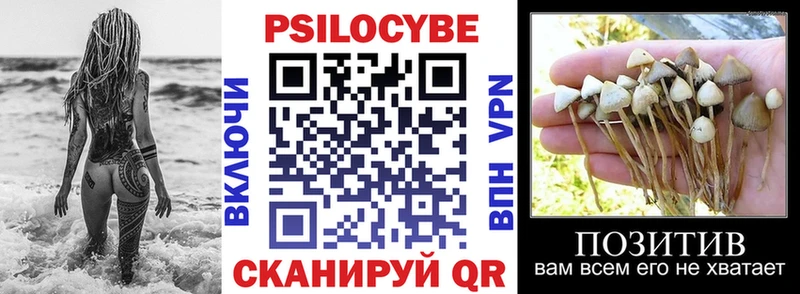 Псилоцибиновые грибы Cubensis  Калязин 